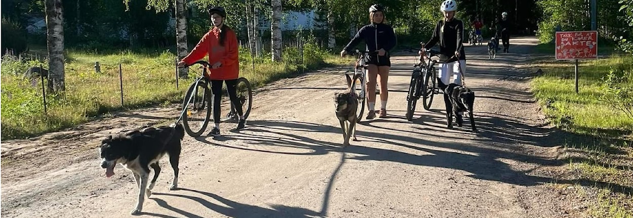 13 - 18 år: MOT - Mushers Of Tomorrow